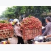 Việt Nam becomes second largest exporter of lychees