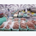 Navico: Pangasius exports to Southeast Asia increase by 16%