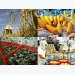 Golden opportunity for VN farm produce to regain home market