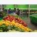 US becomes Vietnam’s largest supplier of fruits, vegetables