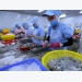 Australia to impose new regulations on prawn imports
