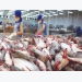 POR15: Anti-dumping duty cut on Vietnamese pangasius going into the US