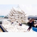 Export of rice allowed to return to normal