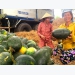 Farmers in central provinces enjoy bumper crops, high prices