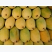 Local firms urged to increase market shares of mangoes in US market