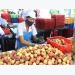 40 tonnes of fresh Vietnamese lychees to enter Australian market