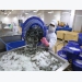 Shrimp exports swell despite virus