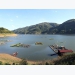 Fish farmers hit hard by reservoir's unstable water levels