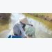Nuôi cua theo hướng VietGAP