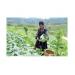 mo-huong-cho-vung-rau-chuyen-canh-o-sa-pa-lao-cai