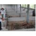Chủ trang trại chăn nuôi Lương Văn Tuấn đi lên từ gian khó