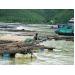 Huyện Vân Đồn (Quảng Ninh) nuôi trồng thuỷ sản thiệt hại nặng do mưa lũ