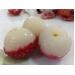 Vụ vải 2015 bắc giang thu được gần 2.900 tỉ đồng
