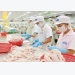 US commences inspections over all catfish imports from Vietnam