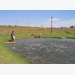 South Africa undertakes strategic environmental assessment for aquaculture development