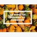 10 Types of Garden Squash