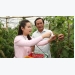 kinh-nghiem-kiem-tien-ty-cua-nong-dan-lam-dong