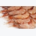 Ecuador encourages shrimp’s inclusion in the US Seafood Import Monitoring Program