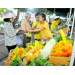 Farm produce fair organized to sell safe vegetables, fruits