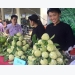 Festival honours Chi Lang custard apple in Lang Son
