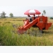 Ninh Thuan invests 1.2 billion VND to agricultural industrialisation