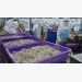 Vietnamese shrimps continue to encounter US anti-dumping duty