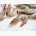 Strong growth seen in global shrimp market