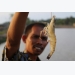 Loans offered to shrimp farmers cooperating with enterprises