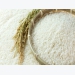 Value and volume of rice exports on the rise