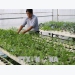 Vietnam urged to develop smart agriculture in Revolution 4.0