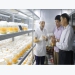 Many innovative models in agriculture