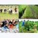 Breakthrough changes for rural economy