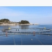 Netting more profit from aquaculture by-products: who wins?