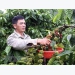 Vietnam seeks to increase value of coffee products