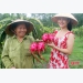 vo-chong-gia-thu-nhap-700-trieu-dong-nam-tu-vuon-ho