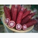 Thai red sweet corn sold in Vietnam market
