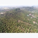 Over 100 ha of fruit trees in Tan Yen qualified as VietGAP standard