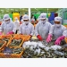 EVFTA paves way for more catfish, shrimp exports to EU