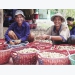 Mekong, south-east regions advised to develop mushroom farms