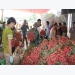 Lychee prices in Luc Ngan hit record high