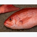 Seychelles set for commercial aquaculture debut