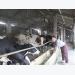 Nông hộ nuôi 30 con bò sữa khép kín