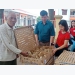 Bac Giang develops bio-safety chicken breeding model