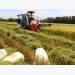 Long An seeks rapid adoption of advanced rice farming techniques