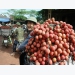 Japan to resume import of Vietnamese fresh lychees soon