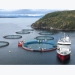 Cermaq to trial closed-containment salmon farm