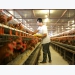 Agriculture ministry bullish on export targets despite pandemic