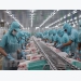 Tra fish industry strives to win over domestic consumers