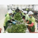 Exports of processed agricultural products skyrocket