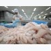 Trade promotion helps boost pangasius consumption